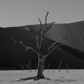 Sand dunes of the Curonian Spit