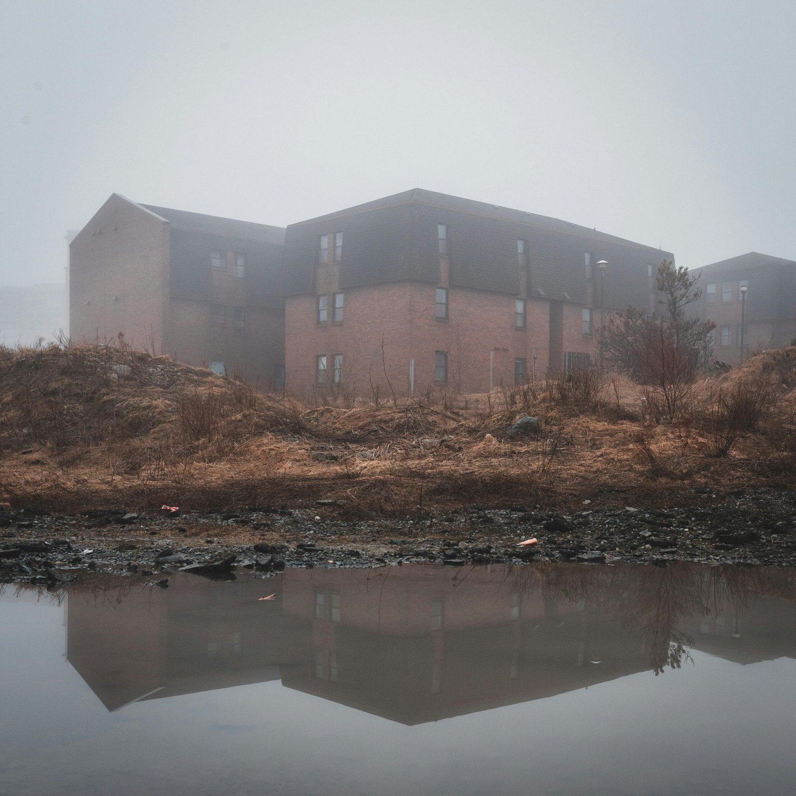 "title": "silent Hill F Review: Mystery, Rage, and Fear I...
